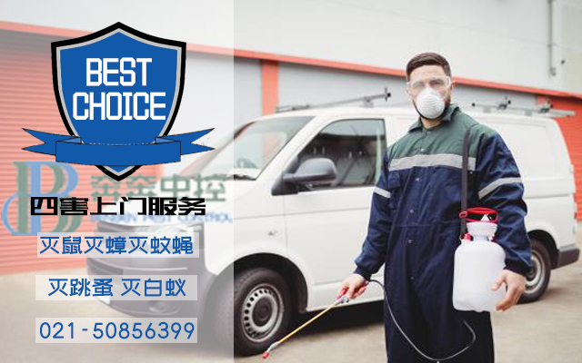 高效杀虫服务，尽在奔奔虫控杀虫公司