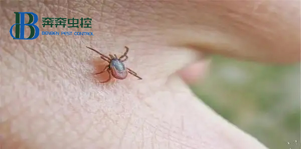 蜱虫要远离！