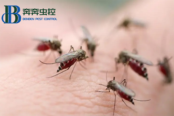 如何驱赶蚊子