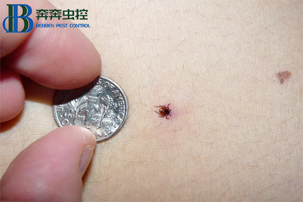 &ldquo;虫出没请注意&rdquo;，蜱虫进入活跃期！