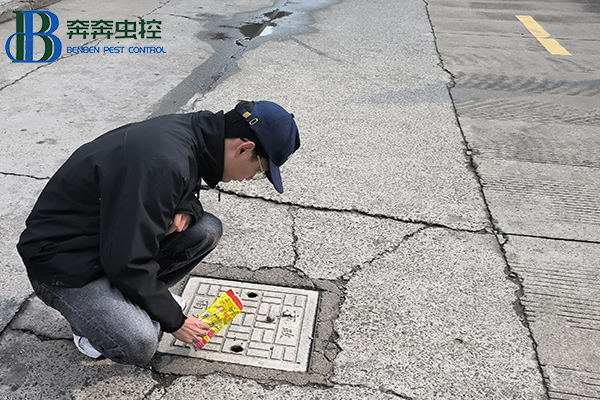 &ldquo;卫&rdquo;爱守护，健康校园！消灭四害，人人有责