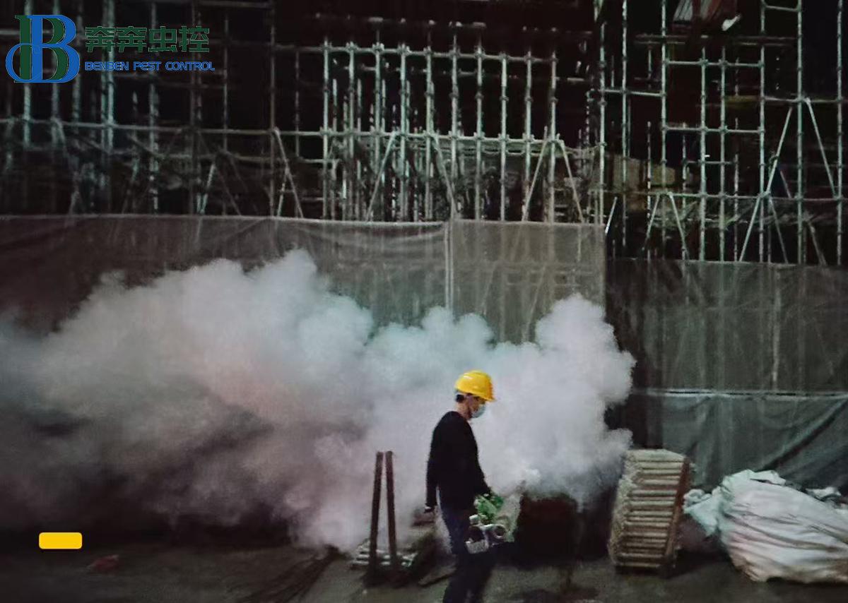 工地夏季灭蚊攻略：从&ldquo;治蚊&rdquo;到&ldquo;防蚊&rdquo;，守护施工安全与健康